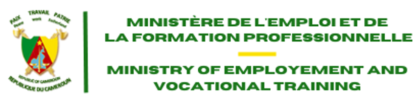 ministère de la formation professionnelle